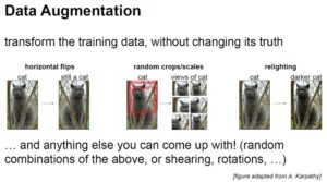 Data Augmentation